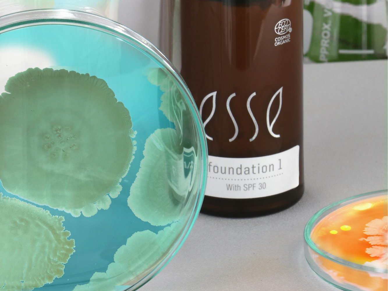 2021_Microbes + Foundations3