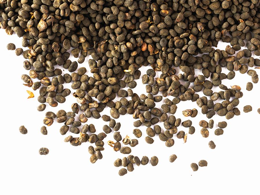 bakuchiol-natures-retinol