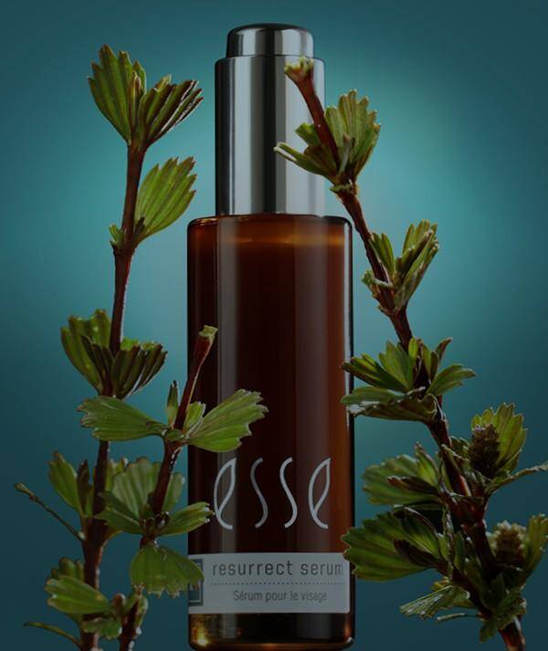 Resurrect Serum