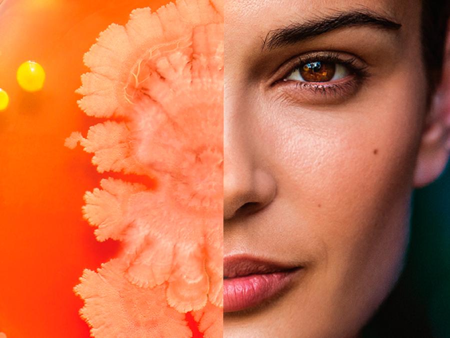Is-it-good-to-have-high-microbial-diversity-on-skin