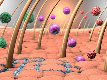 probiotics-strengthen-barrier-function