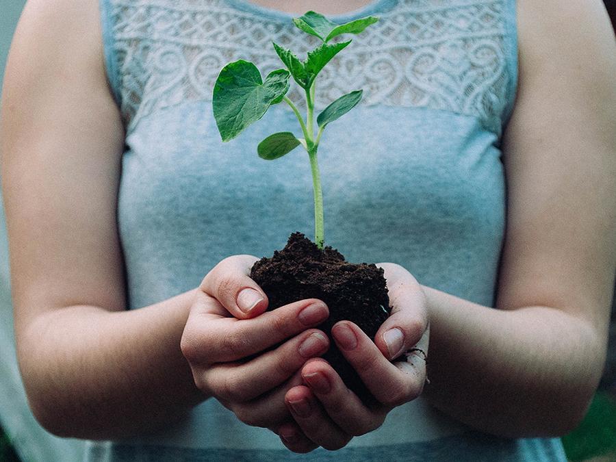 what-is-hygiene-hypothesis